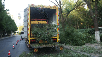 驭林移动式粉碎设备，打造树枝修剪清理新模式