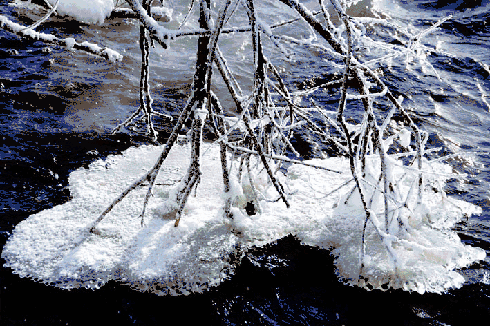 山凹里还残存着冬雪,漫山遍野没有一丝绿意,这枯了一冬的枝条尖上,便