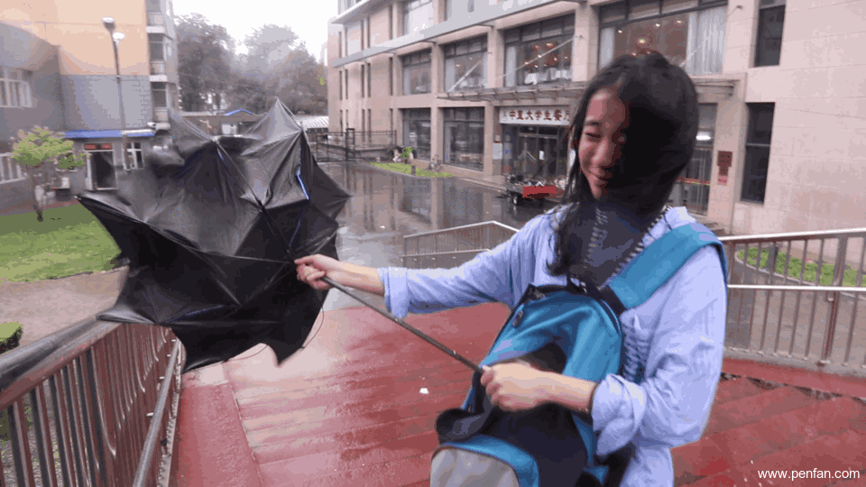 960_540gif 动态图 动图