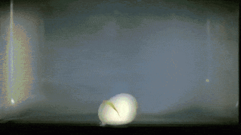 微波炉还只拿来热剩饭？你错过了它99%的功能！