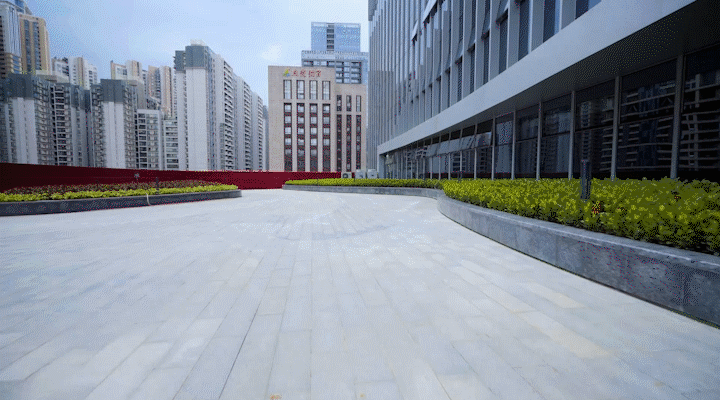 新增两大文化*！广州今年有这些好消息！