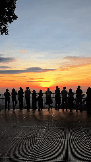 10月22日.gif