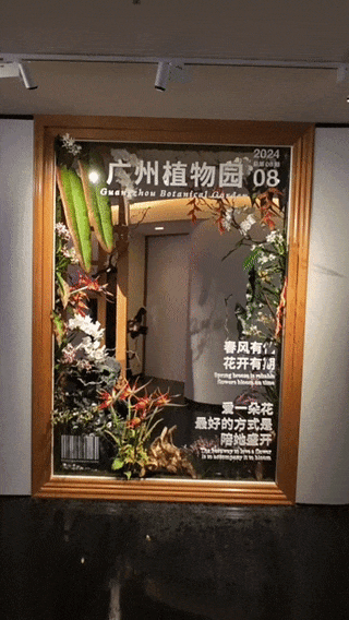 △ 走进巨型鲜花杂志封面