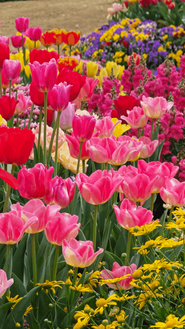 图/中国广州发布