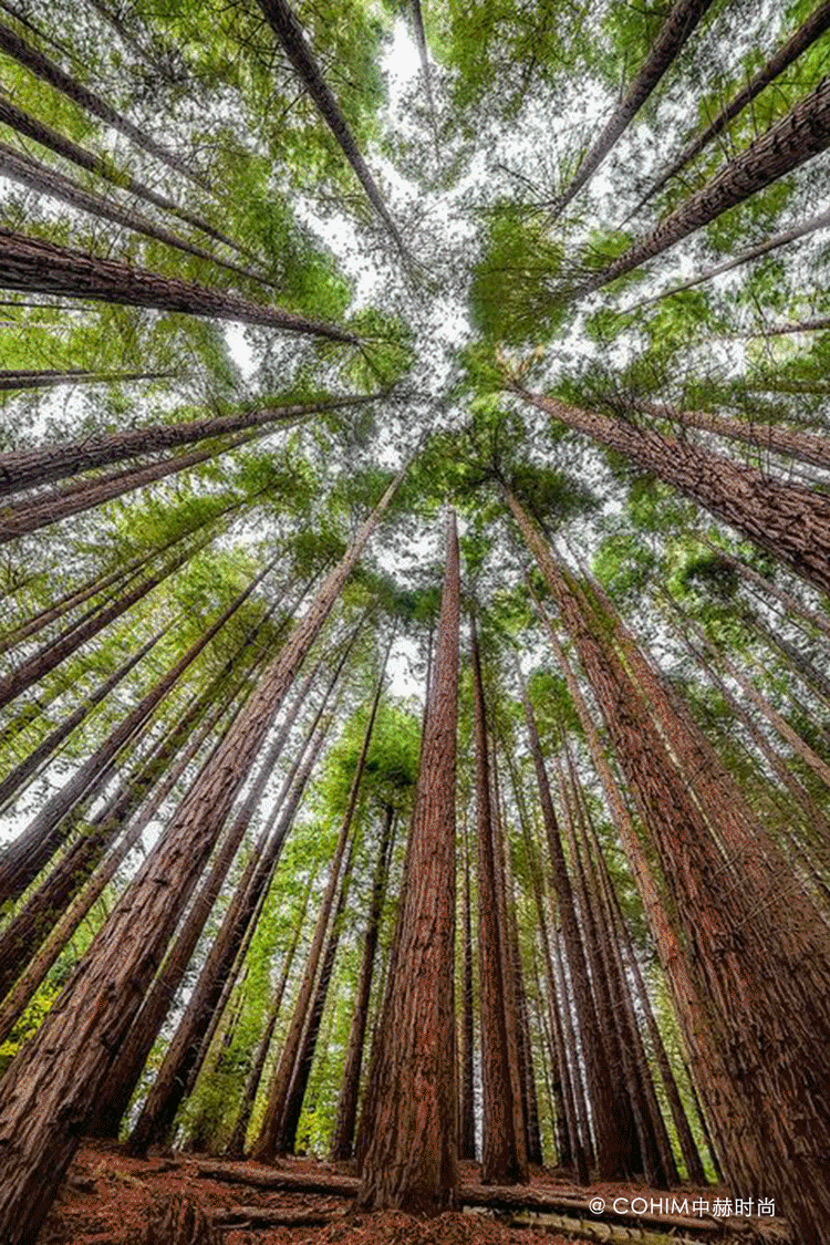 无论生活多么进步,高科技多么发达,即使iphone 7plus的双摄像头很逆天