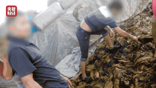 不寒而栗！除“锈毛酱”，这千万别紧东西都千万别给小孩了，迅即发送到父母知道！(图3)