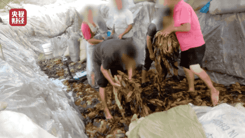 不寒而栗！除“锈毛酱”，这千万别紧东西都千万别给小孩了，迅即发送到父母知道！(图4)