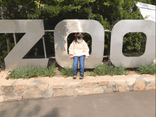 北京三个海洋馆哪个好_北京海洋馆好看吗_北京海洋馆好不好