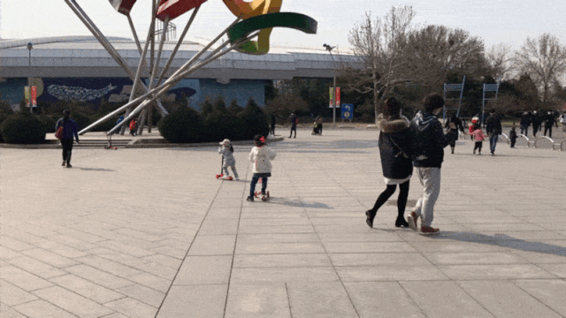 北京海洋馆好看吗_北京三个海洋馆哪个好_北京海洋馆好不好