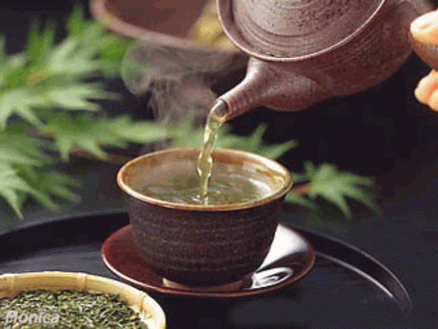 茶宠 是一种宠物吗 如何饲养 茶宠 21世纪英文报微信公众号文章