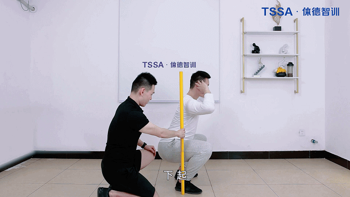 9个月职业进阶课动图