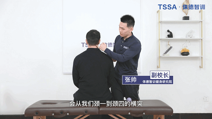 9个月职业进阶课图6