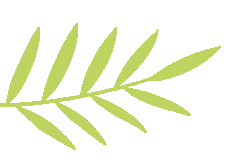 科研进阶·赋能幼教【科研进阶·赋能幼教】深圳市第一期学前教育骨干教师课题科研能力提高班顺利开办！,深圳教育研修院