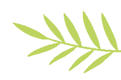 科研进阶·赋能幼教【科研进阶·赋能幼教】深圳市第一期学前教育骨干教师课题科研能力提高班顺利开办！,深圳教育研修院