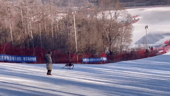 3D雪花、定制头盔、火炬…北京冬奥会中的3D打印黑科技的图10