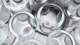 生物3D打印細胞培養平臺推向美國市場，Inventia Life Science獲3500萬澳元B輪融資的圖5