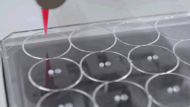 生物3D打印巨頭CELLINK成功收購顯微鏡公司Discover Echo的圖1