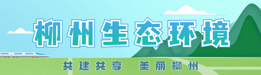 县区动态丨“垃圾分类，从我做起”——柳城生态环境局开展生活垃圾分类亲子共建活动