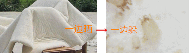 风油精孕妇闻了对胎儿有影响吗_孕妇闻了半小时风油精味道_孕妇风油精闻一个小时没事吧