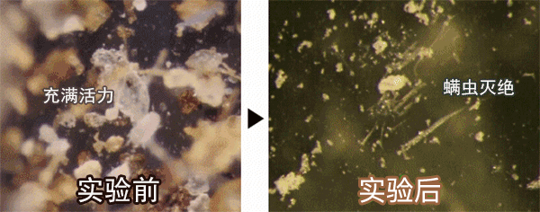 孕妇风油精闻一个小时没事吧_风油精孕妇闻了对胎儿有影响吗_孕妇闻了半小时风油精味道