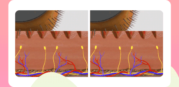 怎么消毒滚针爱美女士必看！这种中医外治疗法，可有效改善肌肤问题_https://www.jmylbn.com_新闻资讯_第3张