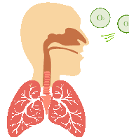 什么人适合用呼吸机“上呼吸机”人就不行了？很多人都有这种误解→_https://www.jmylbn.com_新闻资讯_第5张