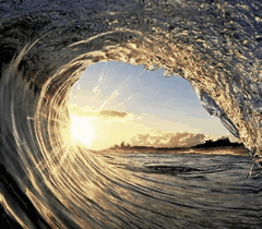 合作共赢的商业模式_如何借助Trust Wallet的特性推动商业合作与共赢_合作共赢行为模式