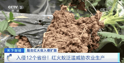 ?剧??