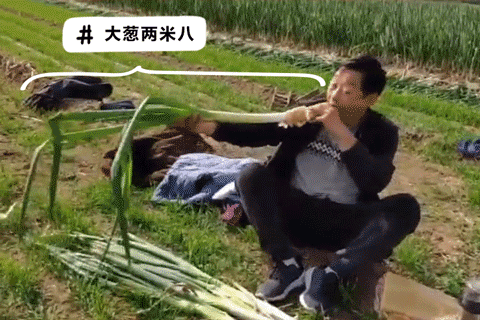 跟山东人比大,你就输了 跟山东人比大,你就输了