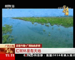 厉害了，我的国，厉害了，我的天天飞！(图31)