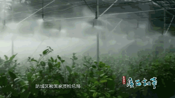 厉害了，我的国，厉害了，我的天天飞！(图35)