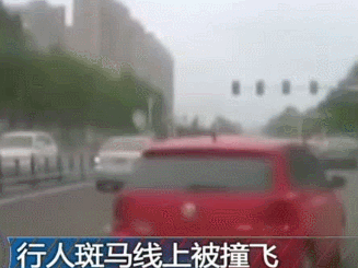 任性8.gif