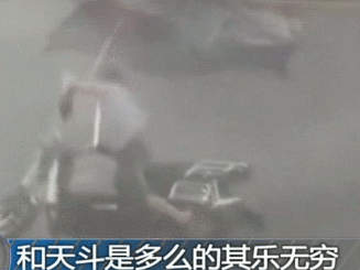 任性4.gif