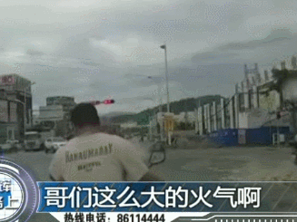 任性1.gif