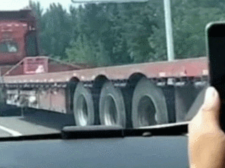 任性5.gif