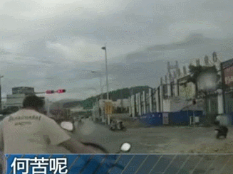 任性2.gif