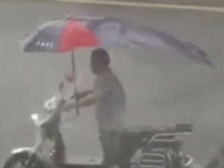 任性3.gif