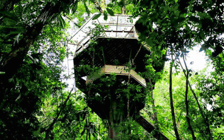 【2018树屋冬令营】森林木屋奇幻历险记（4天独立营）