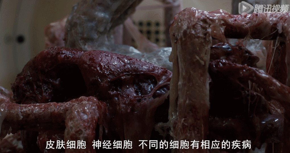 无奈此时的女神已经香消玉殒.