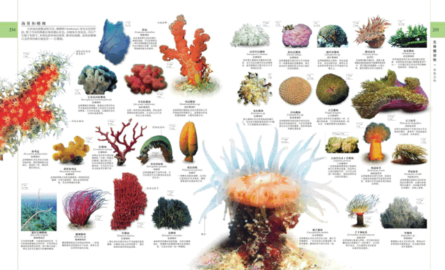 1本百科全书，6000张高清插图，让孩子轻松学会45亿地球历史