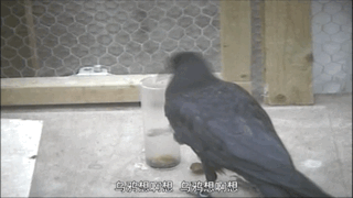 看完这部9.3分纪录片，我终于get到排名前1%孩子的思考秘诀