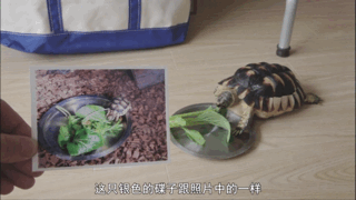 看完这部9.3分纪录片，我终于get到排名前1%孩子的思考秘诀