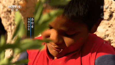 看哭10万人的9.6分神作出续集，有一群孩子为了上学可以赌上性命