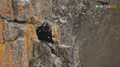 生命不能承受之重：这部9.4分神作，教孩子在逆境中独立成长