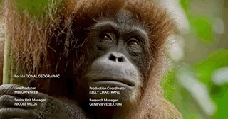 生命不能承受之重：这部9.4分神作，教孩子在逆境中独立成长