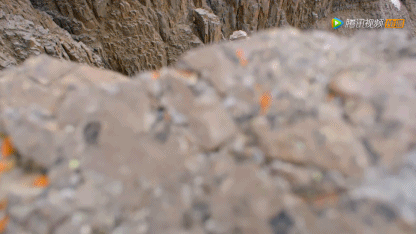 生命不能承受之重：这部9.4分神作，教孩子在逆境中独立成长