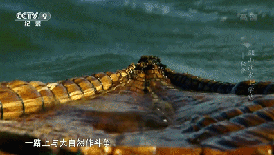 “整个小学，我冒着生命危险上学”：让孩子爱上学习请带ta看这部纪录片