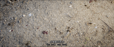 历时十年追踪，这部9.3分纪录片给孩子追逐梦想的勇气