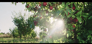 历时十年追踪，这部9.3分纪录片给孩子追逐梦想的勇气