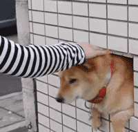 8岁儿子与亲友互怼，妈妈笑得面膜炸裂